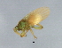  ( - BCAAJN-G32-2)  @13 [ ] CreativeCommons - Attribution (2010) Unspecified Centre for Biodiversity Genomics