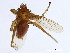  ( - BCBG-317-02)  @13 [ ] CreativeCommons - Attribution (2010) CBG Photography Group Centre for Biodiversity Genomics