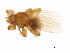  ( - BCBG-320-04)  @12 [ ] CreativeCommons - Attribution (2010) CBG Photography Group Centre for Biodiversity Genomics