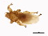  ( - BCBG-336-05)  @13 [ ] CreativeCommons - Attribution (2010) CBG Photography Group Centre for Biodiversity Genomics