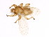  ( - BCBG-338-01)  @14 [ ] CreativeCommons - Attribution (2010) CBG Photography Group Centre for Biodiversity Genomics