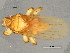  ( - BCBG-340-04)  @13 [ ] CreativeCommons - Attribution (2010) CBG Photography Group Centre for Biodiversity Genomics