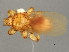  ( - BCBG-343-01)  @13 [ ] CreativeCommons - Attribution (2010) CBG Photography Group Centre for Biodiversity Genomics