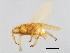 ( - BCAAJN-BB24-2)  @12 [ ] CreativeCommons - Attribution (2010) Unspecified Centre for Biodiversity Genomics