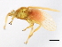  ( - BCAAJN-G28-1)  @13 [ ] CreativeCommons - Attribution (2010) Unspecified Centre for Biodiversity Genomics
