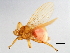  ( - BCAAJN-H50-1)  @13 [ ] CreativeCommons - Attribution (2010) Unspecified Centre for Biodiversity Genomics