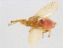  ( - BCAAJN-K7-1)  @12 [ ] CreativeCommons - Attribution (2010) Unspecified Centre for Biodiversity Genomics