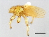  ( - BCAAJN-C9-5)  @13 [ ] CreativeCommons - Attribution (2010) Unspecified Centre for Biodiversity Genomics