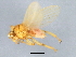 ( - BCAAJN-G3-8)  @13 [ ] CreativeCommons - Attribution (2010) Unspecified Centre for Biodiversity Genomics