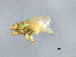  ( - BCAAJN-C9-8)  @14 [ ] CreativeCommons - Attribution (2010) Unspecified Centre for Biodiversity Genomics