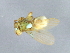  ( - BCAAJN-C9-9)  @13 [ ] CreativeCommons - Attribution (2010) Unspecified Centre for Biodiversity Genomics