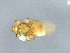  ( - BCAAJN-C9-11)  @13 [ ] CreativeCommons - Attribution (2010) Unspecified Centre for Biodiversity Genomics