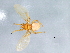  ( - BCAAJN-H13-2)  @13 [ ] CreativeCommons - Attribution (2010) Unspecified Centre for Biodiversity Genomics