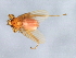  ( - BCAAJN-T46-1)  @12 [ ] CreativeCommons - Attribution (2010) Unspecified Centre for Biodiversity Genomics