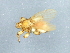  ( - BCAAJN-Q3-1)  @13 [ ] CreativeCommons - Attribution (2010) Unspecified Centre for Biodiversity Genomics