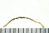  ( - BAMPOL0308)  @12 [ ] CreativeCommons - Attribution (2010) Unspecified Centre for Biodiversity Genomics