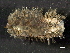  ( - BP2010-180)  @14 [ ] CreativeCommons - Attribution (2010) CBG Photography Group Centre for Biodiversity Genomics