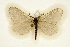  ( - BC-EH-R77)  @11 [ ] Copyright (2010) Unspecified Research Collection of Erwin Hauser