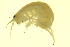  ( - 10BBCRU-0050)  @13 [ ] CreativeCommons - Attribution (2010) CBG Photography Group Centre for Biodiversity Genomics