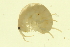  ( - 10BBCRU-0053)  @13 [ ] CreativeCommons - Attribution (2010) CBG Photography Group Centre for Biodiversity Genomics