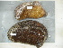  ( - EU848263)  @13 [ ] Unspecified (default): All Rights Reserved  Unspecified Unspecified