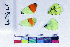  ( - RVcoll17B209)  @11 [ ] Copyright (2019) Roger Vila Institut de Biologia Evolutiva