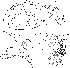  ( - DIP121790)  @12 [ ] Copyright (2013) Hong-Wei Chen South China Agricultural University, Department of Entomology