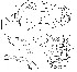  ( - DIP121982)  @12 [ ] Copyright (2012) Hong-Wei Chen South China Agricultural University, Department of Entomology