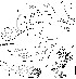  ( - DIP123163)  @12 [ ] Copyright (2013) Hong-Wei Chen South China Agricultural University, Department of Entomology