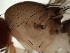  ( - DIP123231)  @12 [ ] Copyright (2013) Hong-Wei Chen South China Agricultural University, Department of Entomology