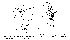  (Phortica biprotrusa - DIP124201)  @11 [ ] Copyright (2013) Hong-Wei Chen South China Agricultural University, Department of Entomology