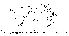  (Phortica hainanensis - DIP124202)  @11 [ ] Copyright (2013) Hong-Wei Chen South China Agricultural University, Department of Entomology