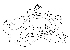  (Phortica eparmata - DIP123273)  @13 [ ] Copyright (2013) Hong-Wei Chen South China Agricultural University, Department of Entomology