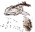  ( - DIP129015)  @11 [ ] Copyright (2016) Hong-Wei Chen South China Agricultural University, Department of Entomology