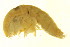 ( - BEAU2011-060)  @11 [ ] CreativeCommons - Attribution (2011) CBG Photography Group Centre for Biodiversity Genomics