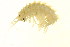  ( - BEAU2011-067)  @14 [ ] CreativeCommons - Attribution (2011) CBG Photography Group Centre for Biodiversity Genomics