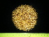  ( - EQU4540_Tven)  @11 [ ] by-nc-sa (2020) Invemar Invemar-BEM