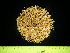  ( - EQU4540_Tven)  @11 [ ] by-nc-sa (2020) Invemar Invemar-BEM