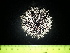  ( - EQU5016_Tven)  @11 [ ] by-nc-sa (2020) Invemar Invemar-BEM