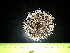  ( - EQU5016_Tven)  @11 [ ] by-nc-sa (2020) Invemar Invemar-BEM