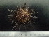  ( - EQU3818(21)_Eluc)  @11 [ ] by-nc-sa (2020) Invemar Invemar-BEM