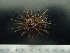  ( - EQU3818(28)_Eluc)  @11 [ ] by-nc-sa (2020) Invemar Invemar-BEM