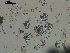  ( - EQU4406(5)_Hare)  @11 [ ] by-nc-sa (2020) INVEMAR INVEMAR-BEM