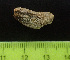  (Neothyone - EQU4227_Ngib)  @11 [ ] by-nc-sa  INVEMAR INVEMAR-BEM