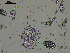  ( - EQU4227_Ngib)  @11 [ ] by-nc-sa  INVEMAR INVEMAR-BEM