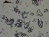  ( - EQU4411(2)_Psus)  @11 [ ] by-nc-sa  INVEMAR INVEMAR-BEM