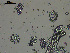  ( - EQU4411(2)_Psus)  @11 [ ] by-nc-sa  INVEMAR INVEMAR-BEM