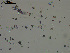  ( - EQU4400(1)_Elap)  @11 [ ] by-nc-sa  INVEMAR INVEMAR-BEM