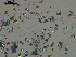  ( - EQU4546_Aaga)  @11 [ ] by-nc-sa  INVEMAR INVEMAR-BEM