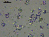  ( - EQU4546_Aaga)  @11 [ ] by-nc-sa  INVEMAR INVEMAR-BEM